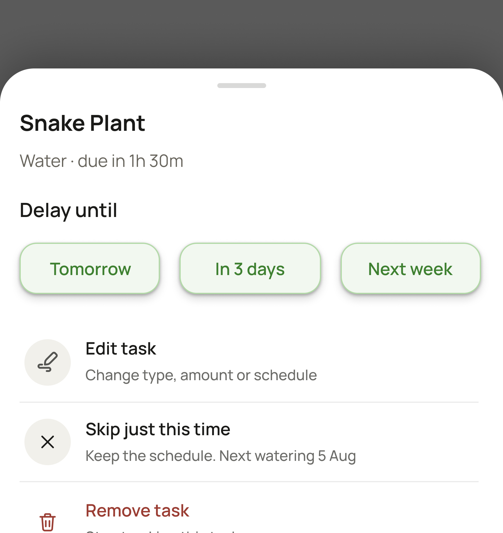 Task options sheet for Snake Plant: Delay until Tomorrow, In 3 days or Next week, then Edit task, Skip just this time with the line Keep the schedule. Next watering 5 Aug, and Remove task